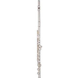 Haynes AF480CO FLUTE Student